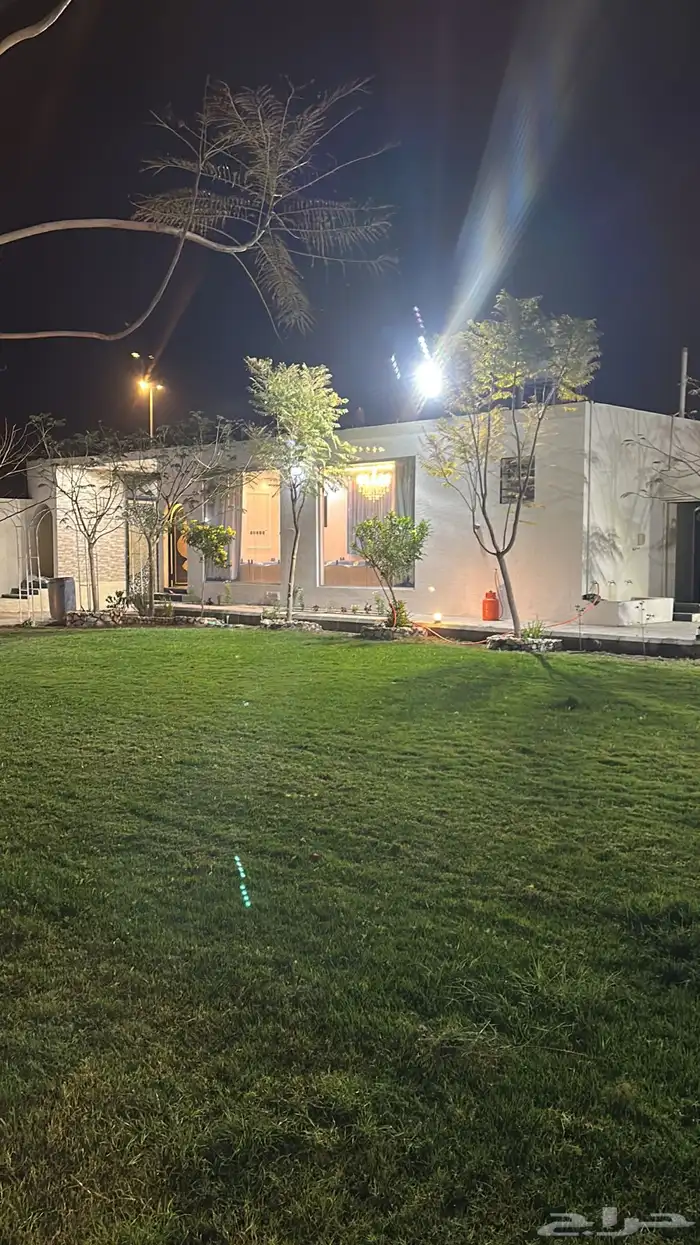 عشب طبيعي 1