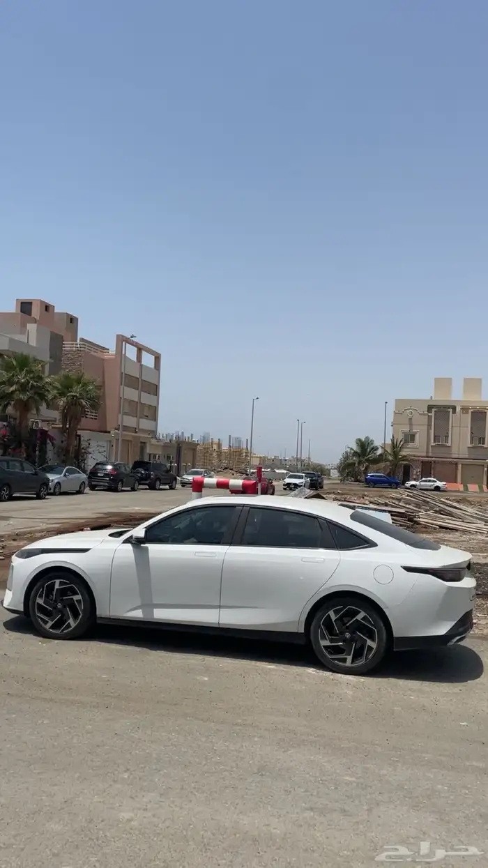 شانجان - ايدو بلس 2024 3