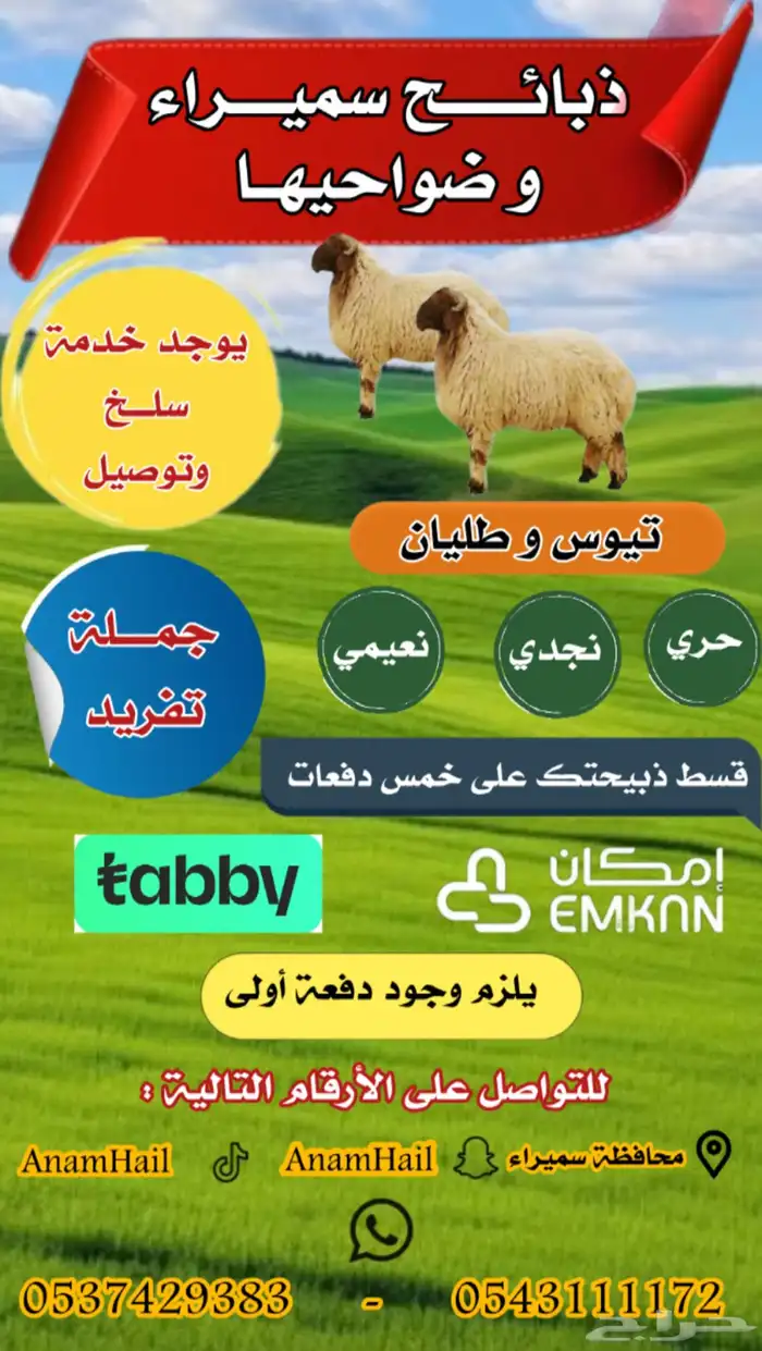 ضحايا للحجز والتوصيل سميراء حائل الموجود الان رخال نعيم 0