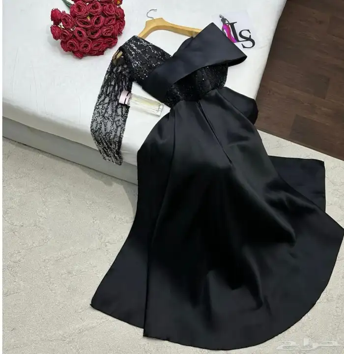 ضباء تبوك 3