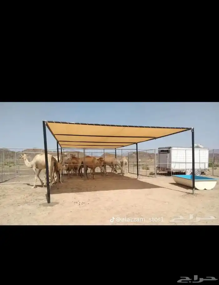 مضلات 2