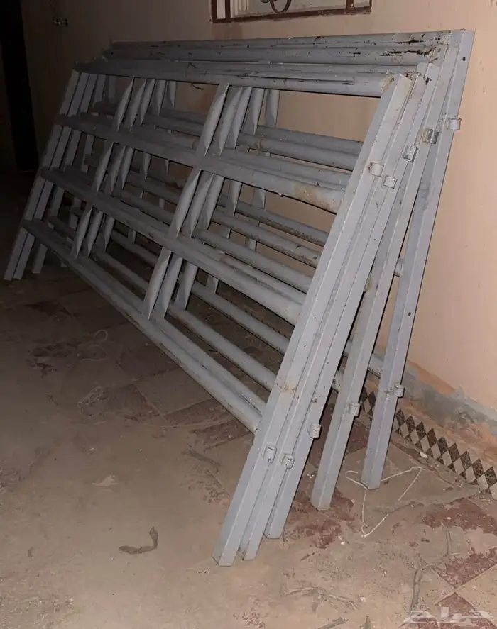 شبوك الابل 1