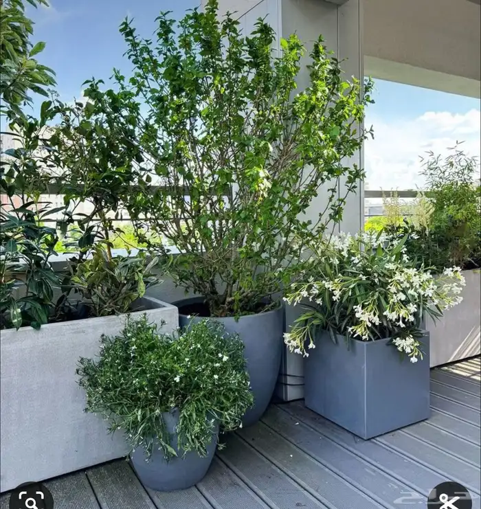 احواض زراعيه مزخرفه 50