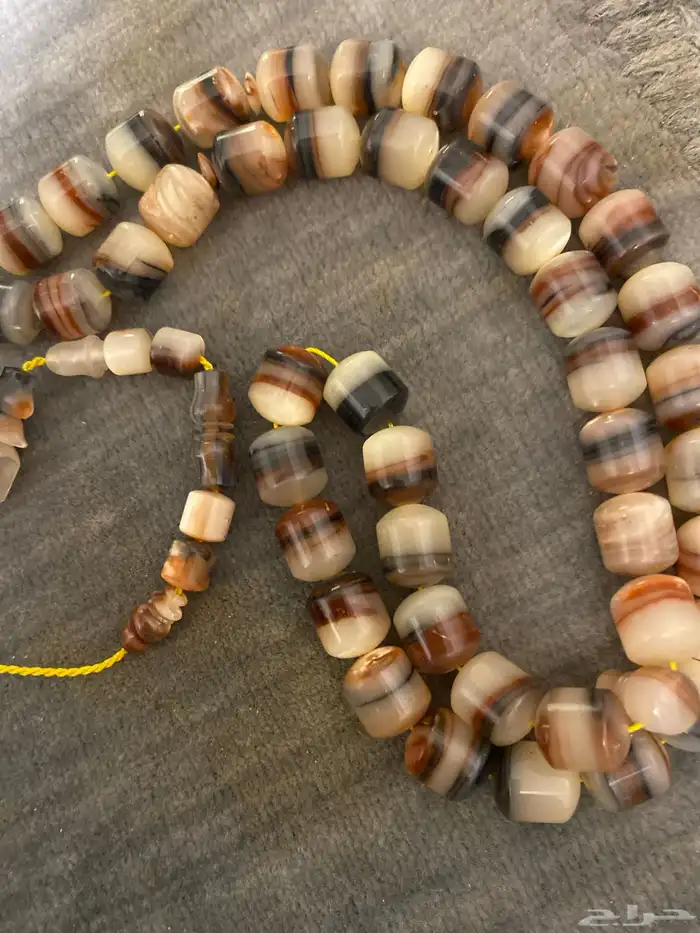 الأول السبح فاتوران الماني الثانيه البيضه عظم الثالثه صدف 3