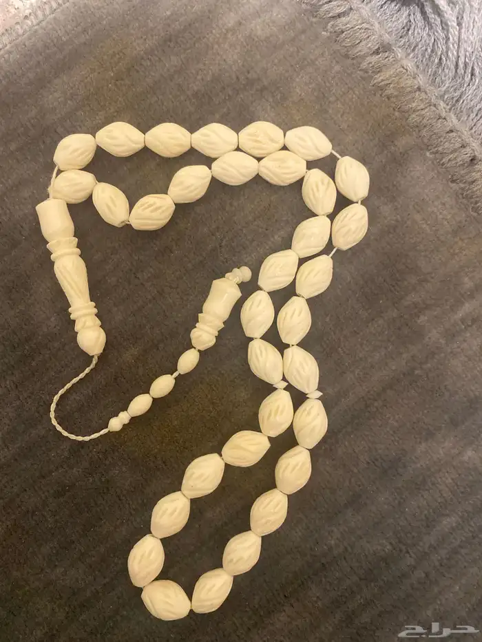 الأول السبح فاتوران الماني الثانيه البيضه عظم الثالثه صدف 0