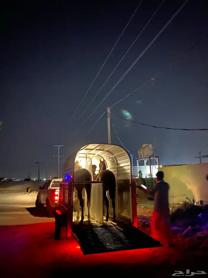 عربة خيل للنقل 0