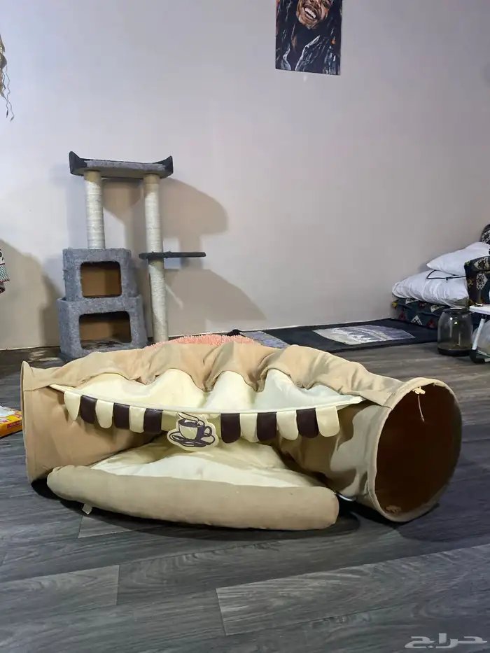 مستلزمات قطط كاملة شبة جديدة مع 2 لتر بكس 2