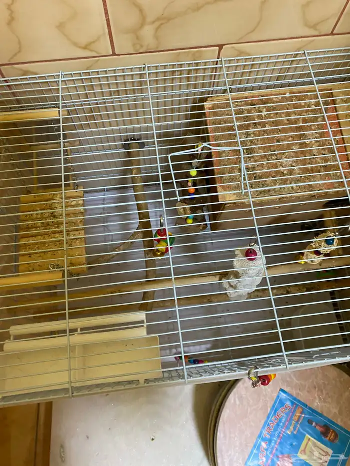 أقفاص طيور مجهزة بالكامل 1