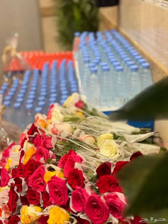 تنسيق اقواس بلالين 12