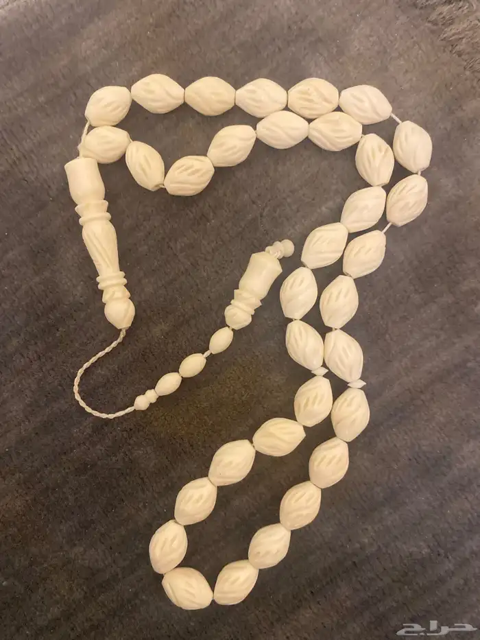 الأول السبح فاتوران الماني الثانيه البيضه عظم الثالثه صدف 1