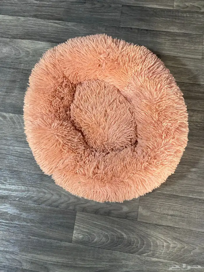 مستلزمات قطط كاملة شبة جديدة مع 2 لتر بكس 1