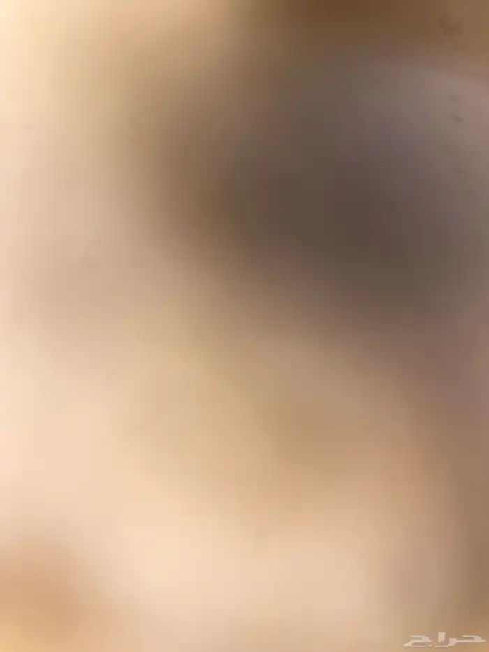 رقم مميز 0