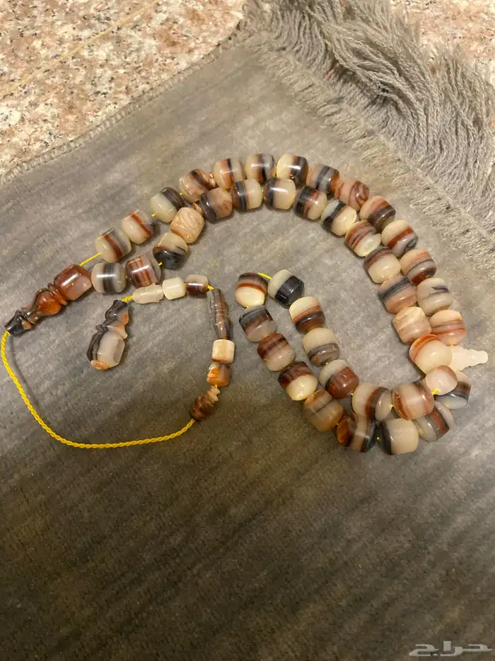 الأول السبح فاتوران الماني الثانيه البيضه عظم الثالثه صدف 2