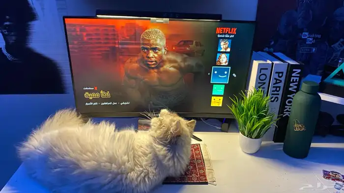 شاشة قيمنق 1