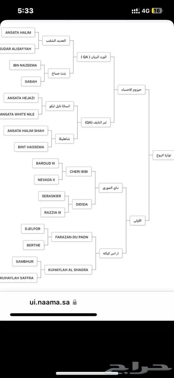 فرس واهو شييخة 1