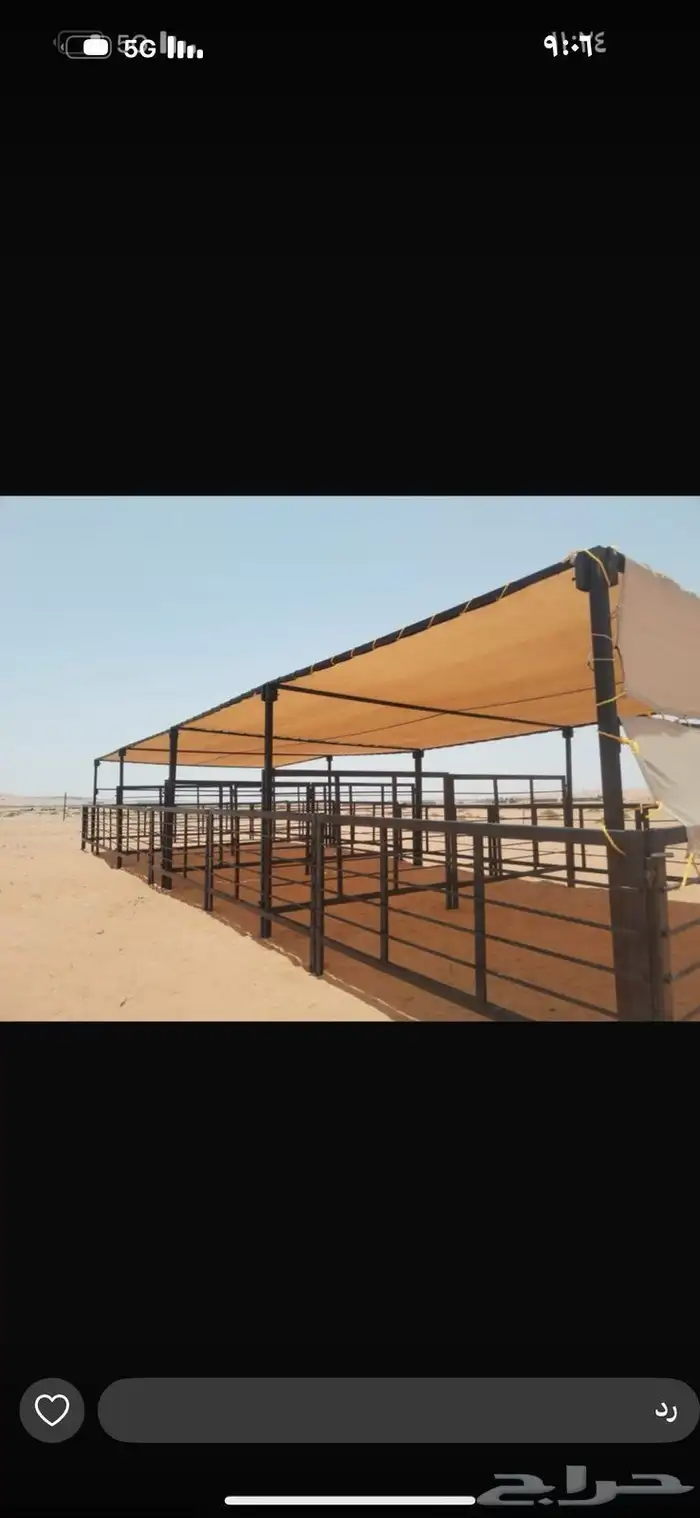 مضلات 3