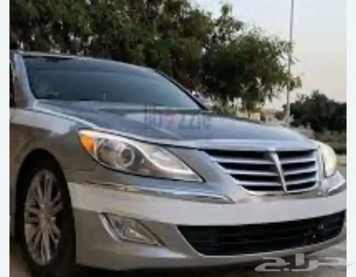 عداد جنسس 2013 3