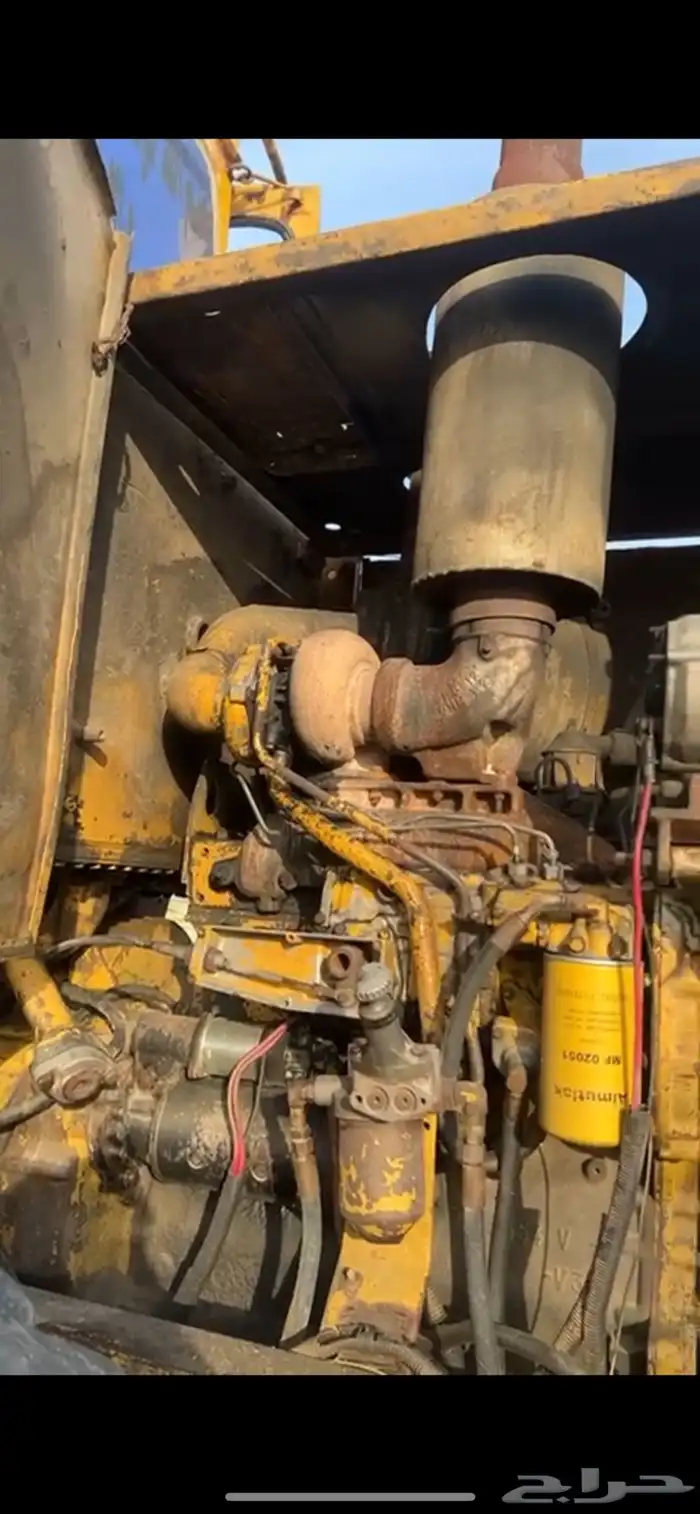 شيول 36 بطاقة جمرك 1