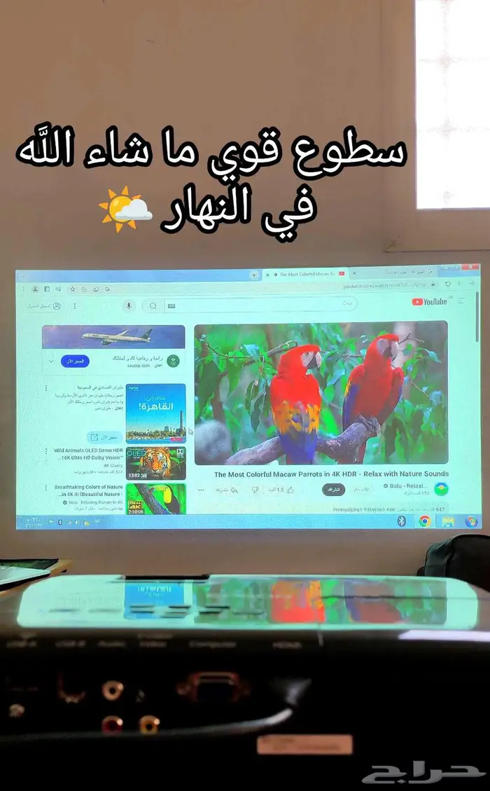 بروجكتر إبسون_أخو الجديد_سطوع عالي_عرض نهاري_ممتاز للمقاهي 5