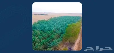 مزرعة للبيع جاهزة في البطين 0