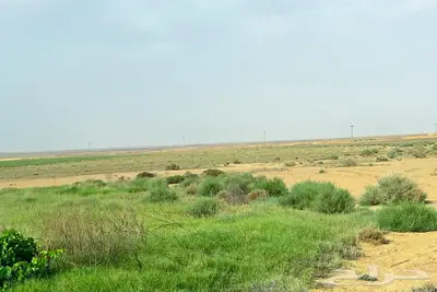 مزرعة للبيع في الرشاوية 7
