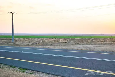 مزرعة للبيع في الرشاوية 1