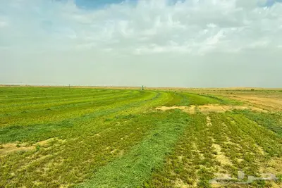 مزرعة للبيع في الرشاوية 6