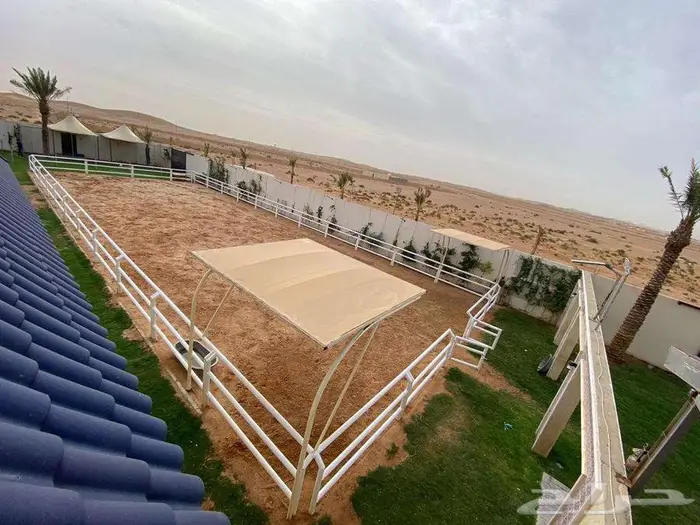 استراحة ومنتجع للإيجار والاعياد مساحة 4000 وركوب خيل مجاني 6