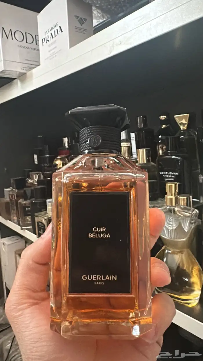 العطور الحصريه والعطور النيش 8