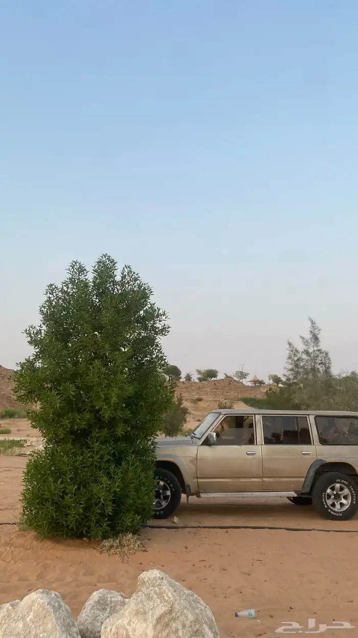 سفاري 5