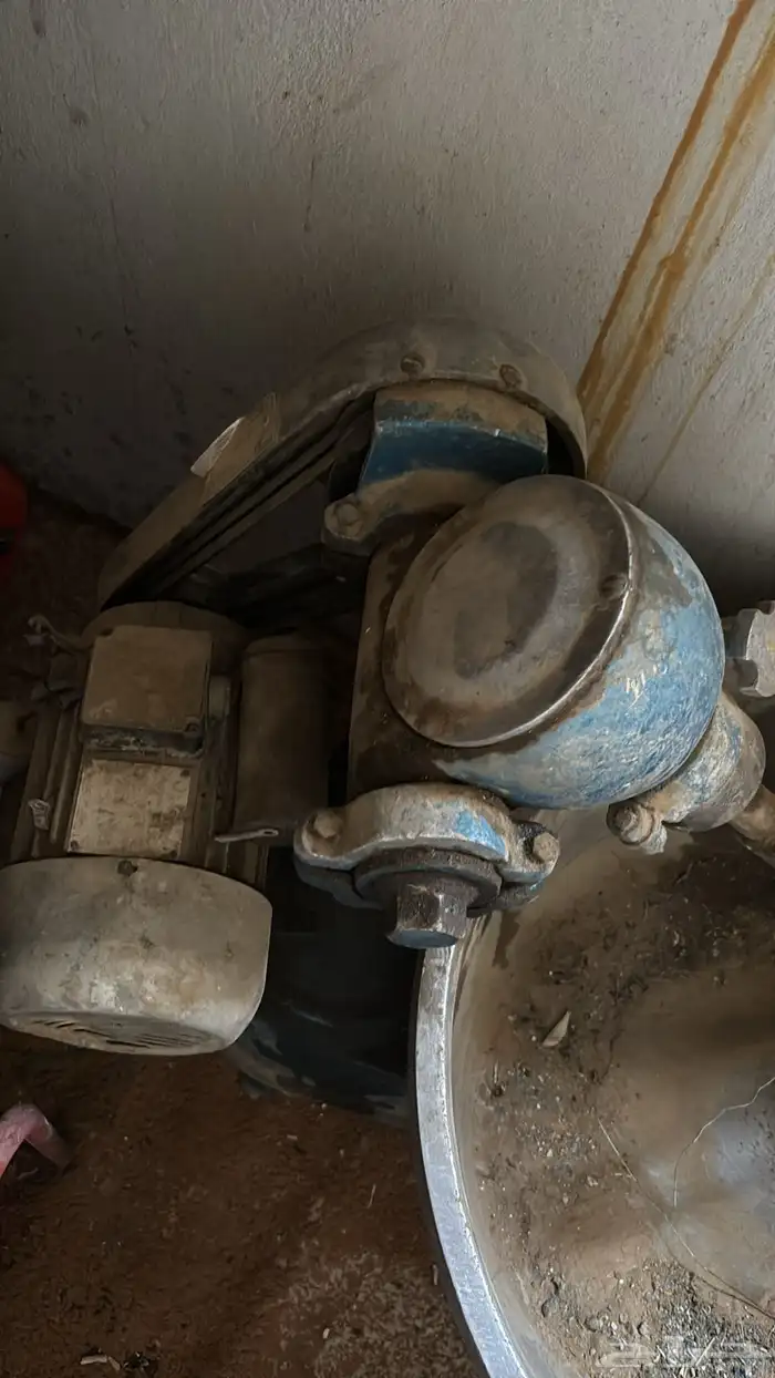 عجانه حلويات 0
