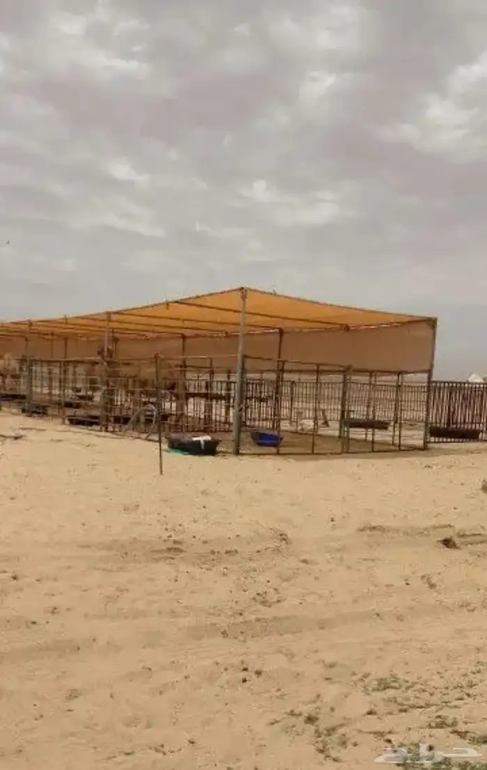 مضلات ابل وجميع انواع لوازم الرحلات وشبوك ابل 0