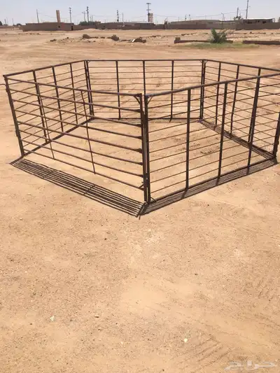 شيك غنم 3