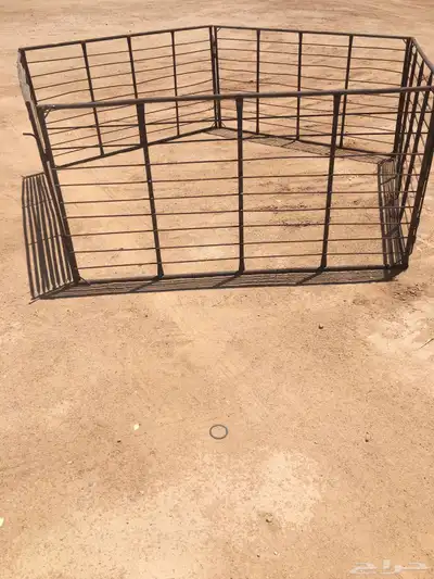 شيك غنم 1