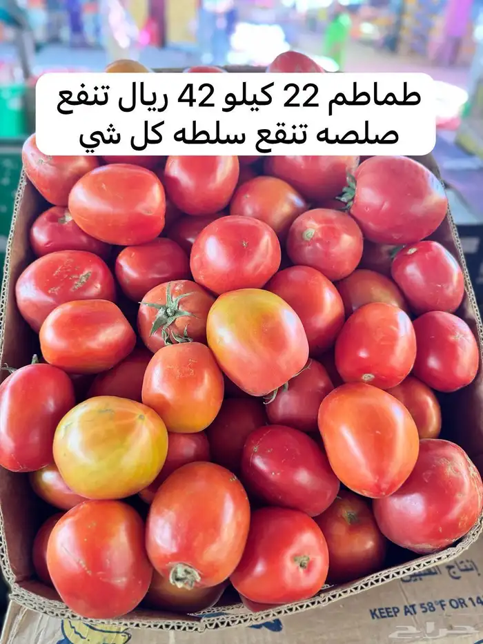 عروض قوية للجملة ونص الجملة وتوصيل مبرد 15