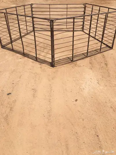 شيك غنم 0