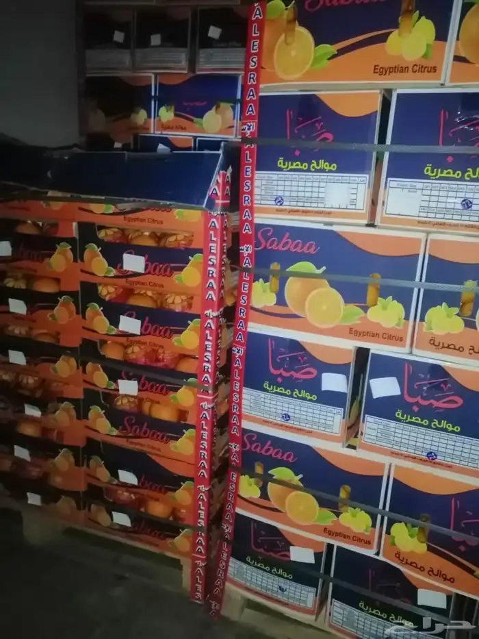 عروض قوية للجملة ونص الجملة وتوصيل مبرد 16