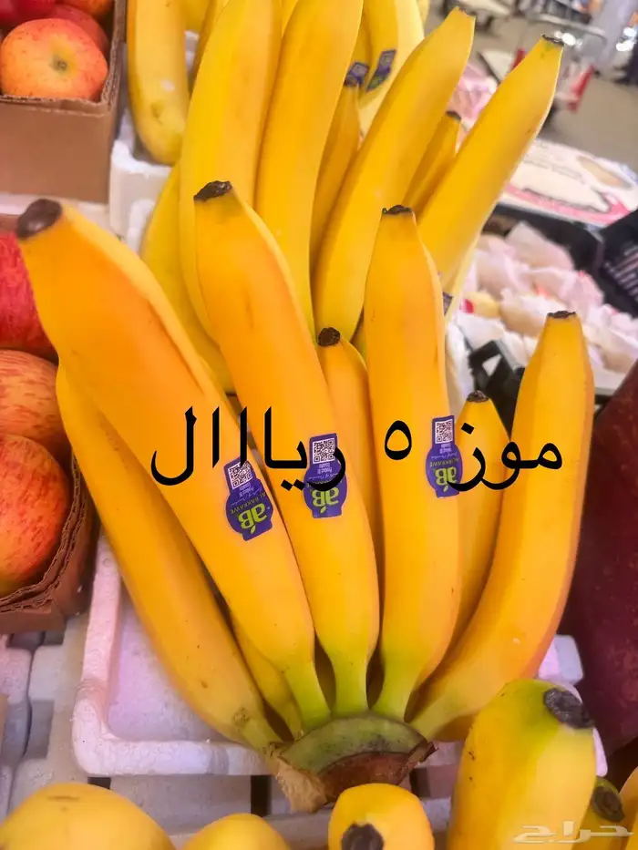 عروض قوية للجملة ونص الجملة وتوصيل مبرد 10