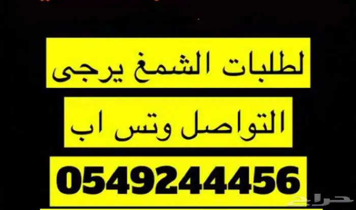 عرض خاص شماغ العيد انجليزي 28