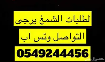 عرض خاص شمغ انجليزيه 2024   2025 28
