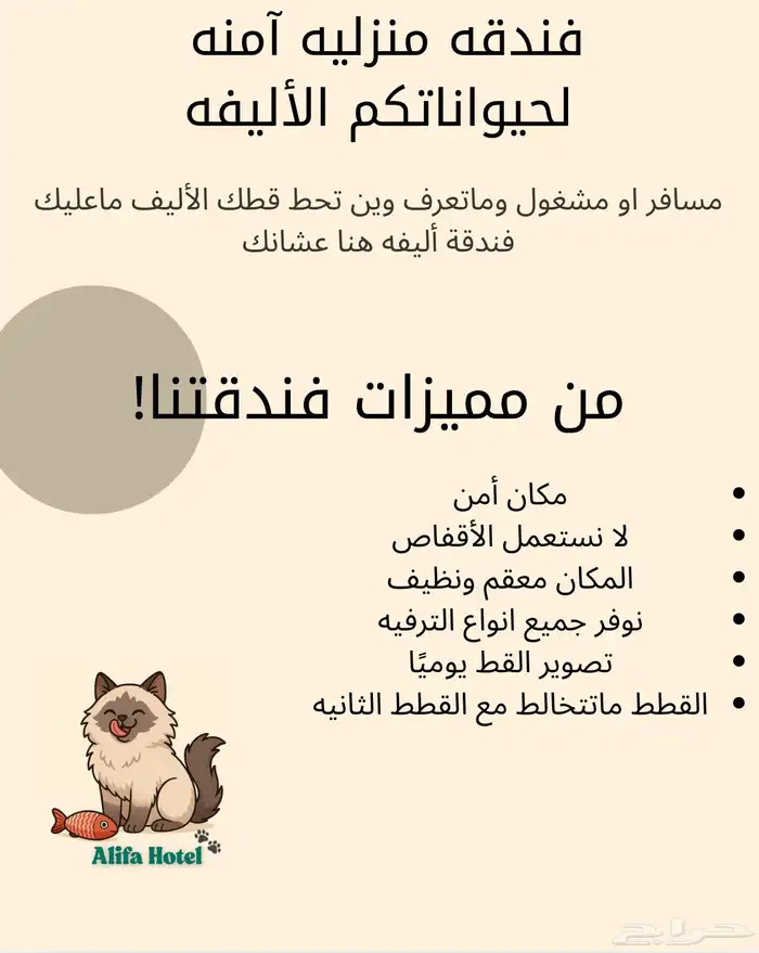 فندقه قطط 0