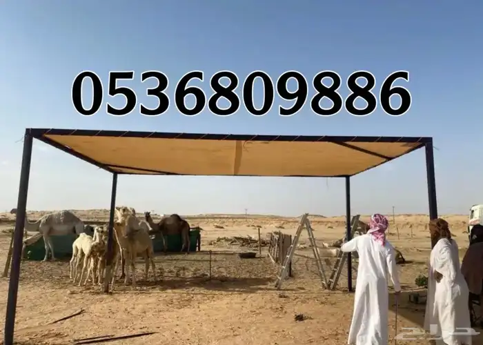 مظلات الابل او مظلات الحلال 0