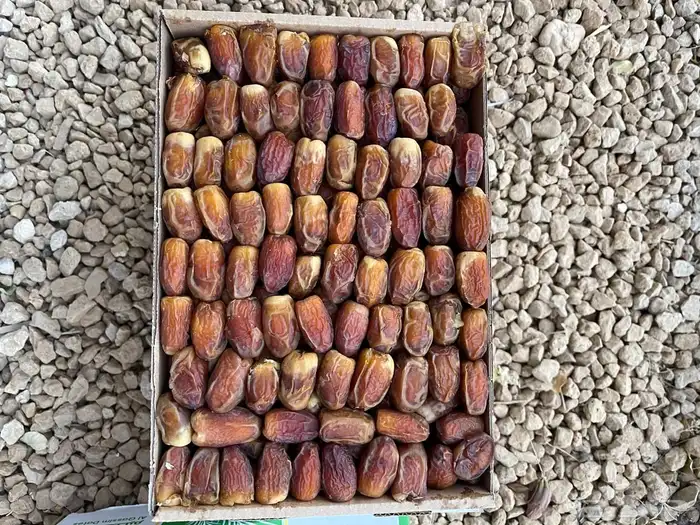 رطب سكري وصقعي 2