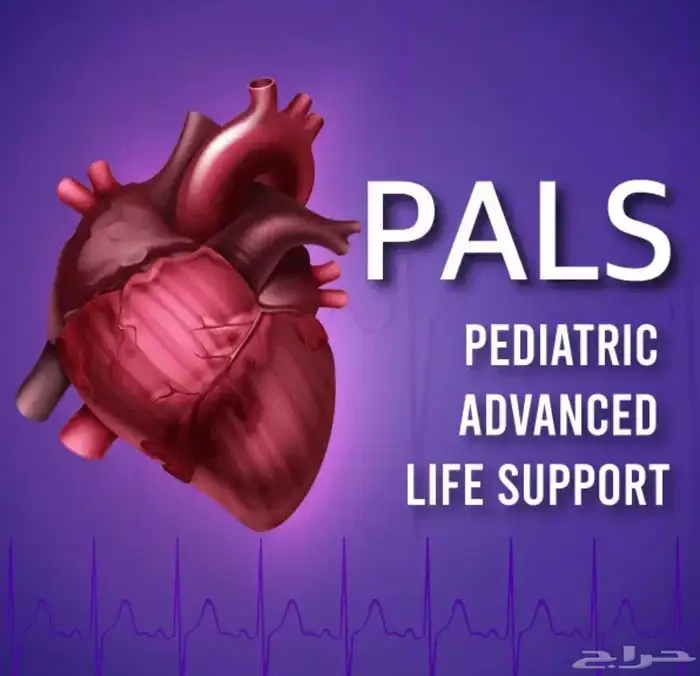 ساعات ممارس و BLS 5