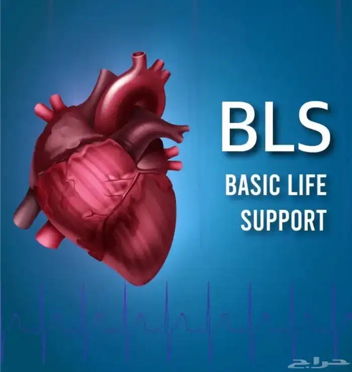 ساعات ممارس و BLS 2