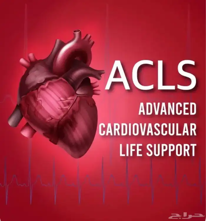 ساعات ممارس و BLS 4