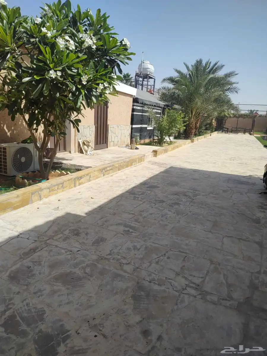 استراحة ساس النخيل ديراب 7