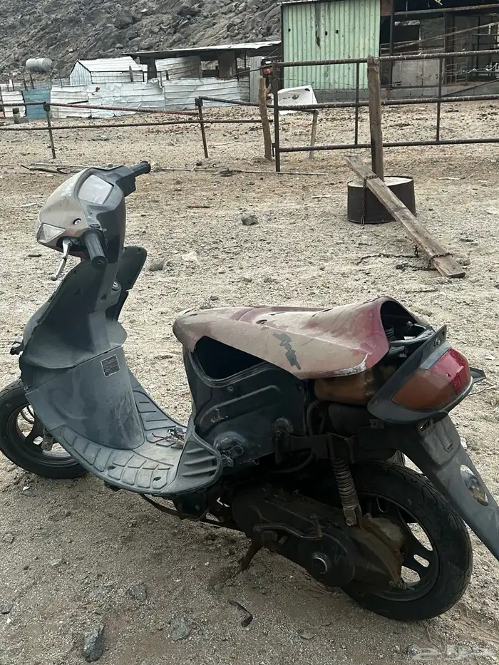 دباب بطه سزوكي 60 0