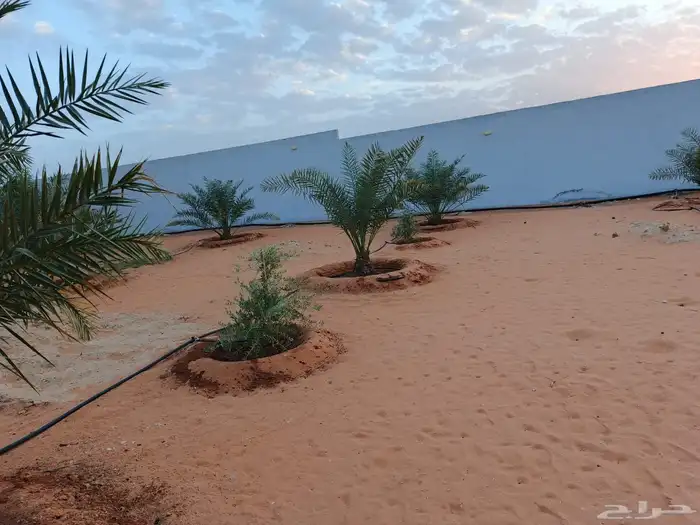 أستراحة للبيع 11