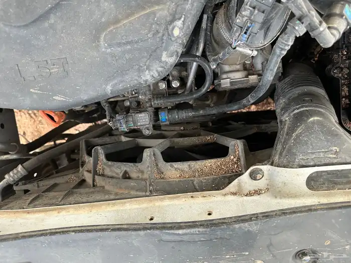 جيب جيتور 2020 10